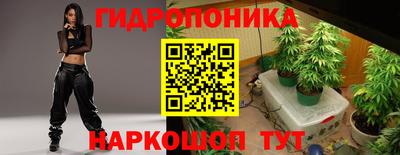 гашик Канаш