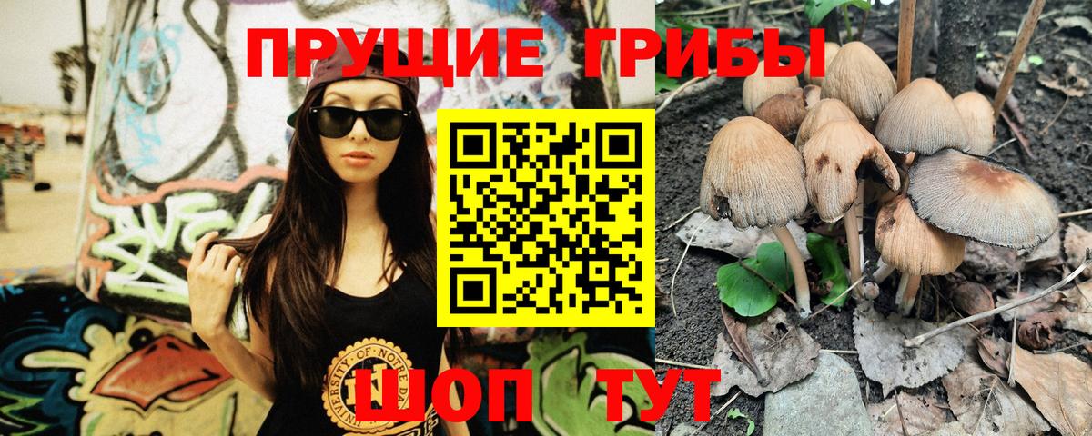 Галлюциногенные грибы прущие грибы Лесозаводск